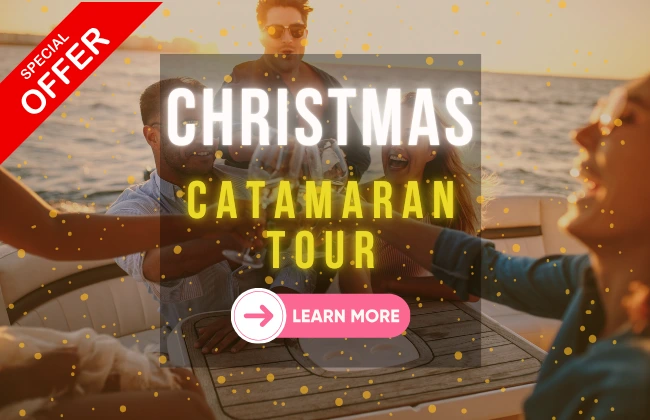 Special Christmas Catamaran