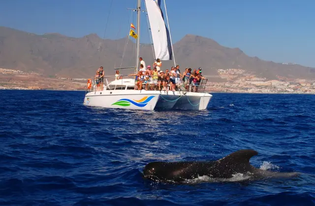 Ocean Bliss Private Charters