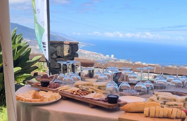 Easy-Wine Tour Tenerife