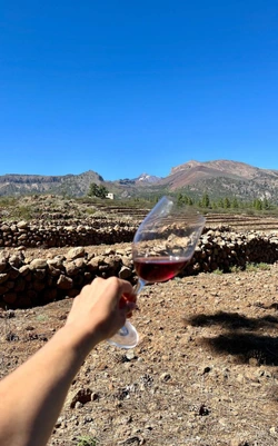 Tenerife Wine Tour