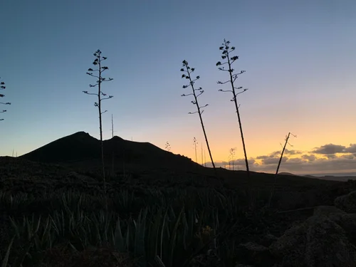 Full Moon Volcanic Hike Fuerteventura