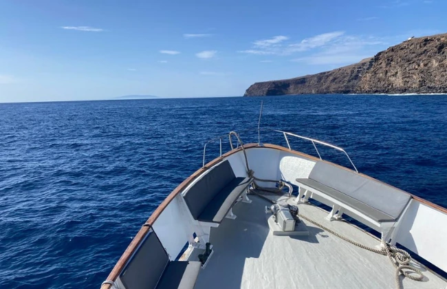 Boat Tour to Los Órganos