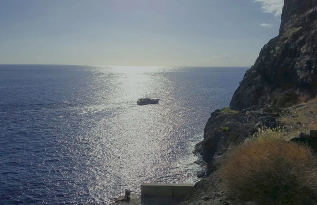 Whale Watching Tour from Valle Gran Rey