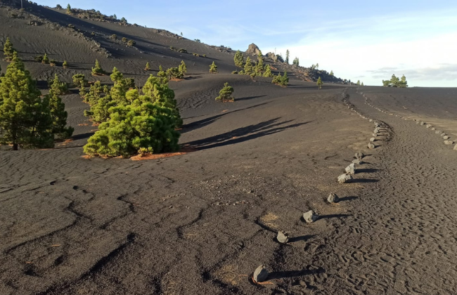 Tajogaite Volcano Hike – Guided Tour in La Palma Through Lava and Craters