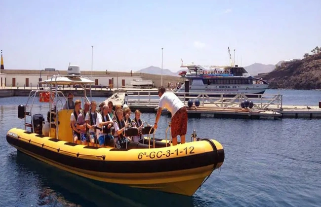 Dolphin Speedboat Tour in Lanzarote