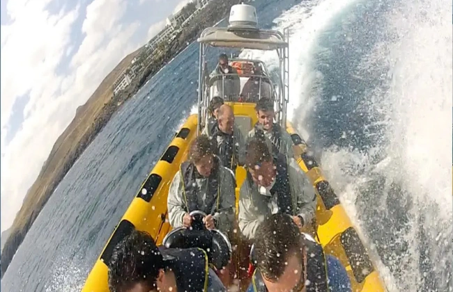 Dolphin Speedboat Tour in Lanzarote
