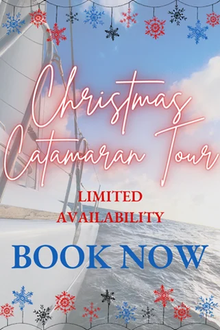 Special Christmas Catamaran